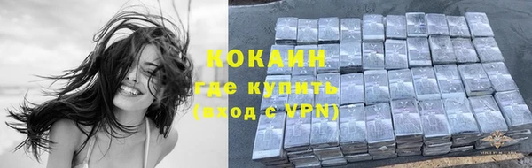 молекула духа Касимов