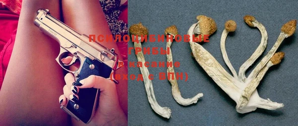 MESCALINE Карталы
