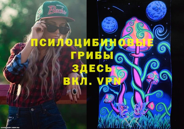 молекула духа Касимов