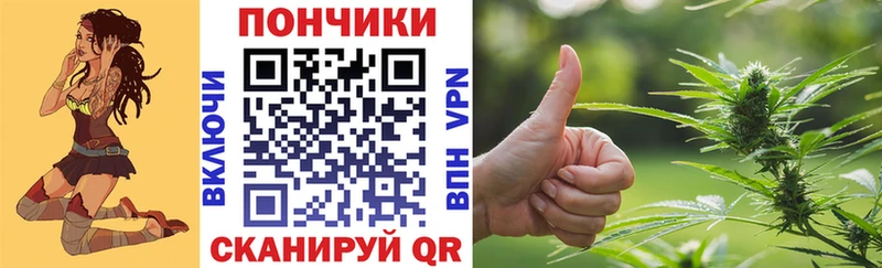 Купить где  Старый Оскол  Бошки Шишки план 